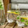 6er Set Longdrinkgläser "Elegance" ca. 450ml