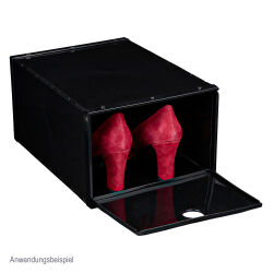 Schuhbox Organizer Kunststoff ca.36,5x27x18,5cm