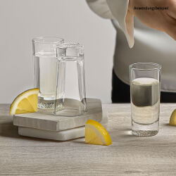 Shot Gläser 8er Set ca. 40ml