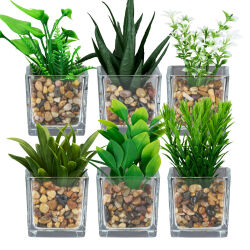 12er Set Mini Kunstpflanze im Glas-Topf ca.10cm