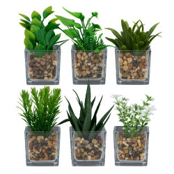 12er Set Mini Kunstpflanze im Glas-Topf ca.10cm