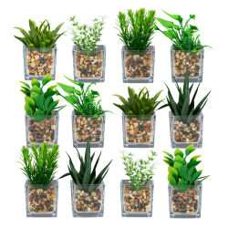 12er Set Mini Kunstpflanze im Glas-Topf ca.10cm