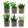 12er Set Mini Kunstpflanze im Glas-Topf ca.10cm