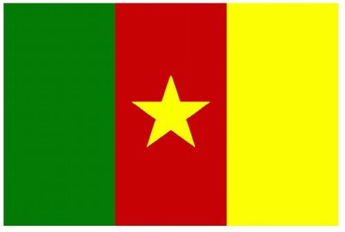 Kamerun Fahne 150 x 90cm mit Metallösen