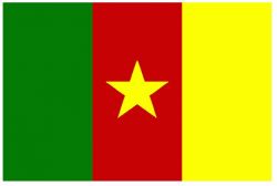 Kamerun Fahne 150 x 90cm mit Metallösen