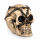 Totenkopf Spardose Militär ca.14cm Polyresin