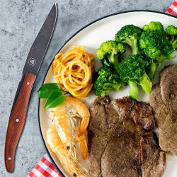 Laguiole 4er Steakmesser-Set Stonewash