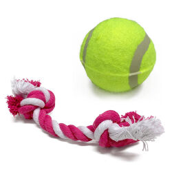 Hundespiel 4-teiliges Set Napf & Spielzeuge