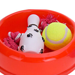 Hundespiel 4-teiliges Set Napf & Spielzeuge