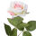 Rosen 24er Set ca. 60cm