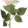 Rosen 24er Set ca. 60cm