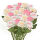 Rosen 24er Set ca. 60cm