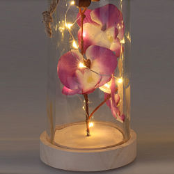Kunstblume Orchidee in Glasflasche mit 10 LED
