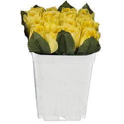 Rosen Kunstblumen im Kunststoff-Topf ca.12cm Gelb