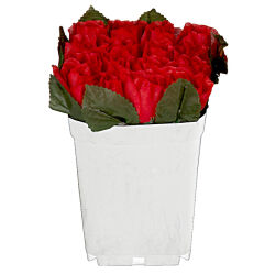 Rosen Kunstblumen im Kunststoff-Topf ca.12cm Rot