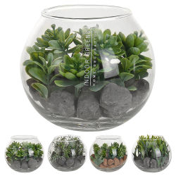 Kunstpflanze im Glas-Topf ca.10x11,5cm