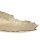 Deko-Schale gold-farbig ca.35x21cm