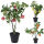 Künstlicher Obstbaum im Topf ca.58cm