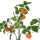 Künstlicher Obstbaum im Topf ca.58cm