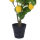 Künstlicher Obstbaum im Topf ca.58cm