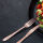 Besteckset 16 Teilig Edelstahl Alpina - rosegold farbig