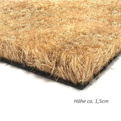 Fußmatte aus Kokosfaser ca.40x60cm