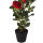 Künstliche Rosen-Strauchpflanze ca.95cm