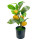 Künstlicher Zitronenbaum im Topf ca.36cm