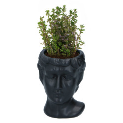 Kopf Skulptur als Pflanzentopf Keramik ca.12,5x9,5cm