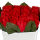 Rosen Kunstblumen im Kunststoff-Topf ca.12cm