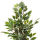 Künstliche Ficus Zimmerpflanze ca. 91cm
