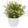 Künstliche Blümchen im weißen Topf ca.21cm