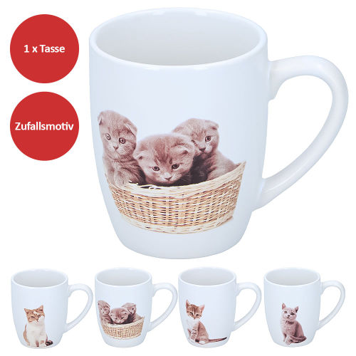 Katzen (Zufallsmotiv)