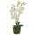 Künstliche Orchidee ca.41cm